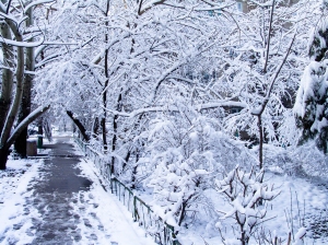 winter, yo
