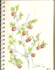 *manzanas*