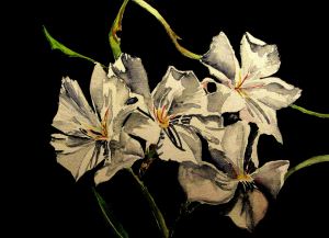 * white oleanders, yo *