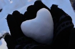 heart-1416344_960_720