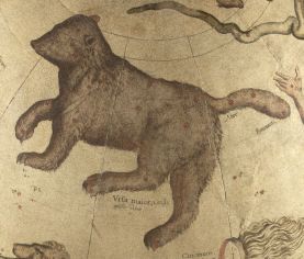 Ursa_major_-_Mercator