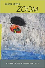 susan lewis zoom