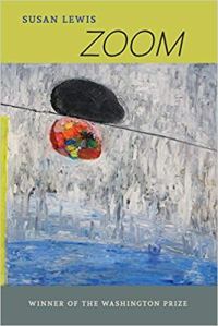 susan lewis zoom